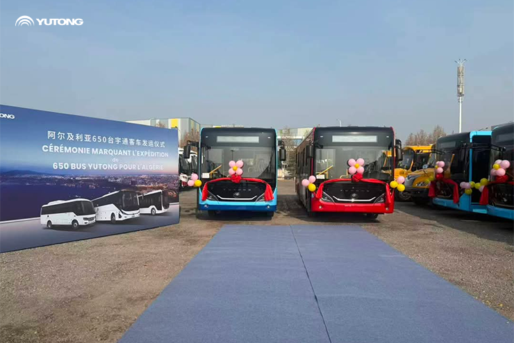 Yutong Ships 650 Buses to Algeria