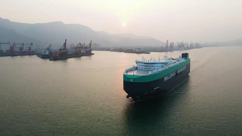 Brand New Beginning! 55 Yutong E12 Exported to Denmark, Market Shares Exceed 60%!