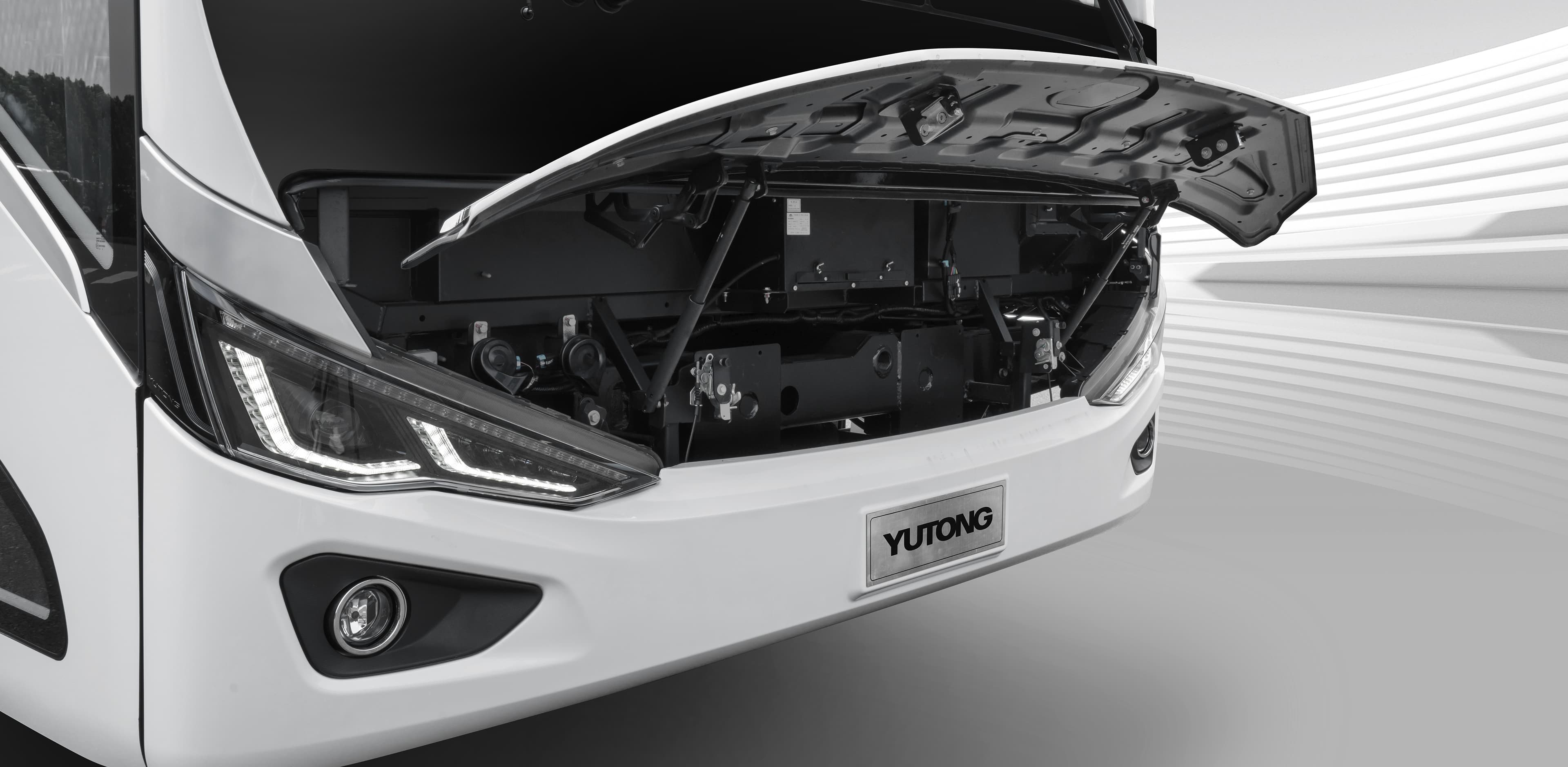 Removable front flap door structure