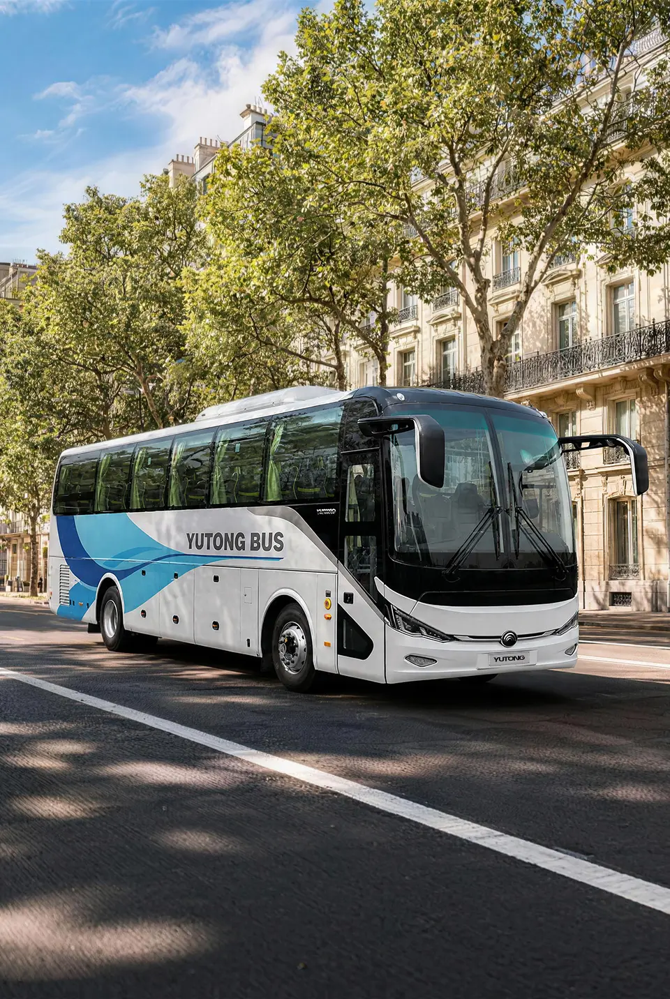 C11(ZK6117H)