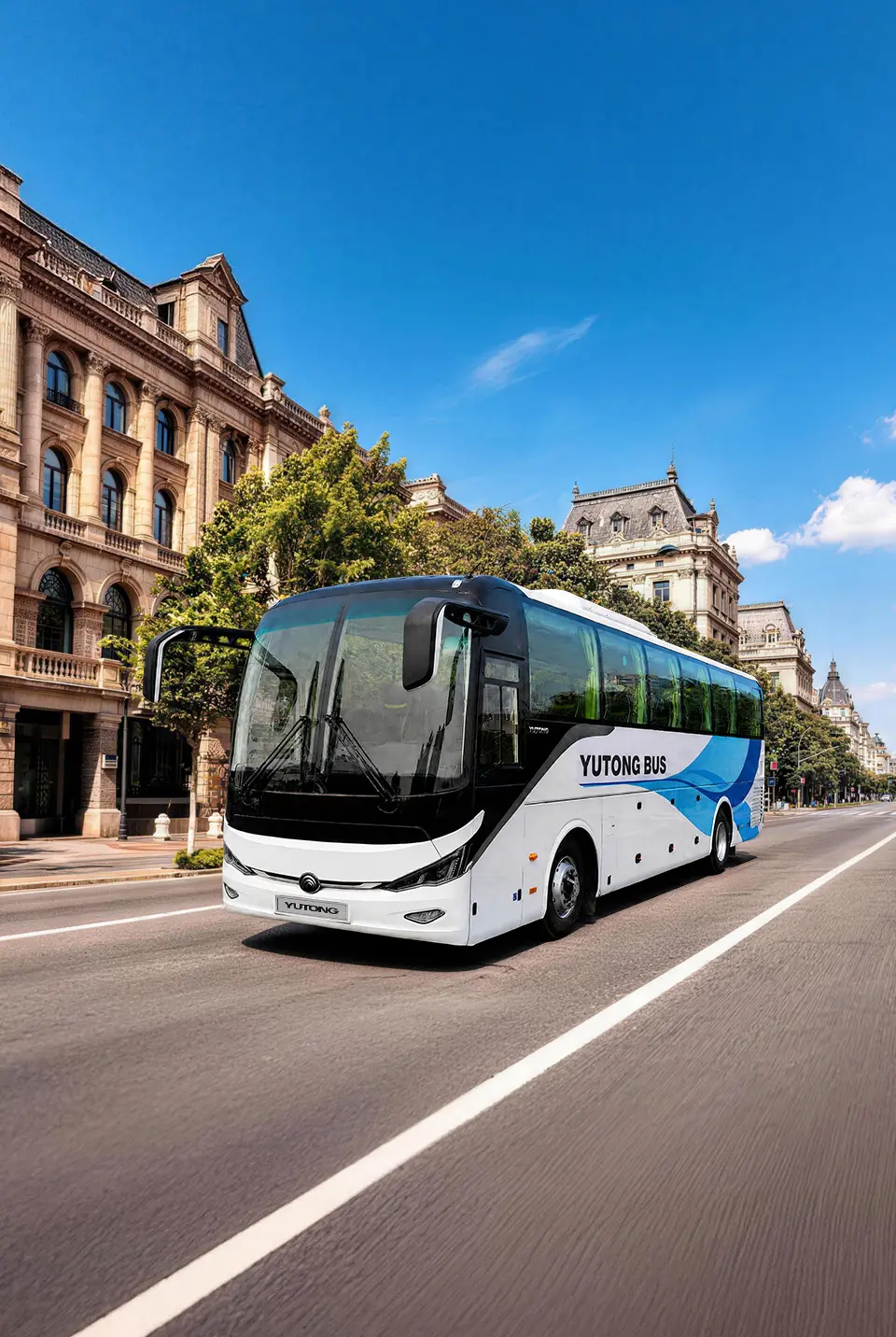 C11(ZK6117H)